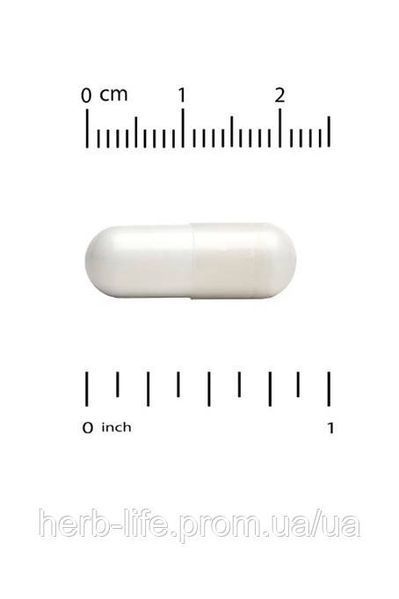 Л теанин California Gold Nutrition аминокислота l theanine калифорния голд теанин аминокислоты для нервной системы от стресса и тревоги таблетки для концентрации внимания и памяти витамины для улучшения работы мозга 100 мг 60 капсул CGN-01243 фото