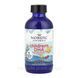 Дитяча омега 3 дгк Nordic Naturals dha рідкий риб'ячий жир для розвитку мовлення та мозку у дітей жир з печінки тріски для покращення пам'яті та уваги малюка нордік вітаміни для гостроти зору бади для нервової системи для імунітету 119 мл 2023-10-5939 фото 2