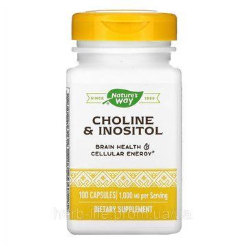 Холін і інозитол Nature's Way inositol choline вітаміни в4 і в8 вітаміни для печінки та від жирового гепатозу бади холіну 100 кап 2022-10-1076 фото