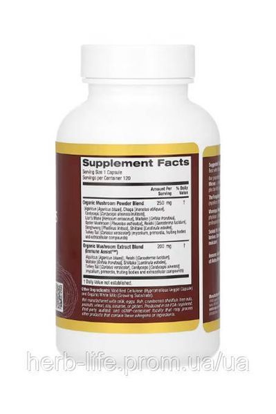 Комплекс 10 грибів mush rex California Gold Nutrition каліфорнія голд нутрішн комплекс лікарських грибів для зміцнення імунітету гриби організму органічні гриби для довголіття та покращення роботи мозку та пам'яті 120 капсул CGN-01258 фото