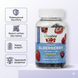Sambucus Elderberry Kids Lifeable, Kids, самбук, бузина, жувальні таблетки з вітаміном C та цинком, 60 таблеток 2023-10-7295 фото 1