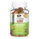 Turmeric Curcumin Kids Lifeable, Куркума с куркумином для детей, 60 жевательных таблеток 2023-10-7298 фото 2