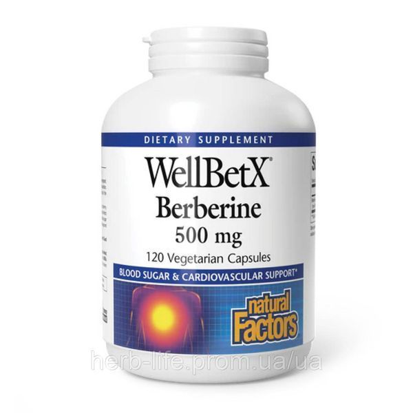 Берберин wellbetx berberine Natural Factors натурал факторс екстракт барбарису гідрохлорид берберину рослинний метформін сша бади для зниження цукру при інсулінорезистентності нормалізації рівня інсуліну натуральний засіб від холестерину 120 капсул 2023-10-3833 фото